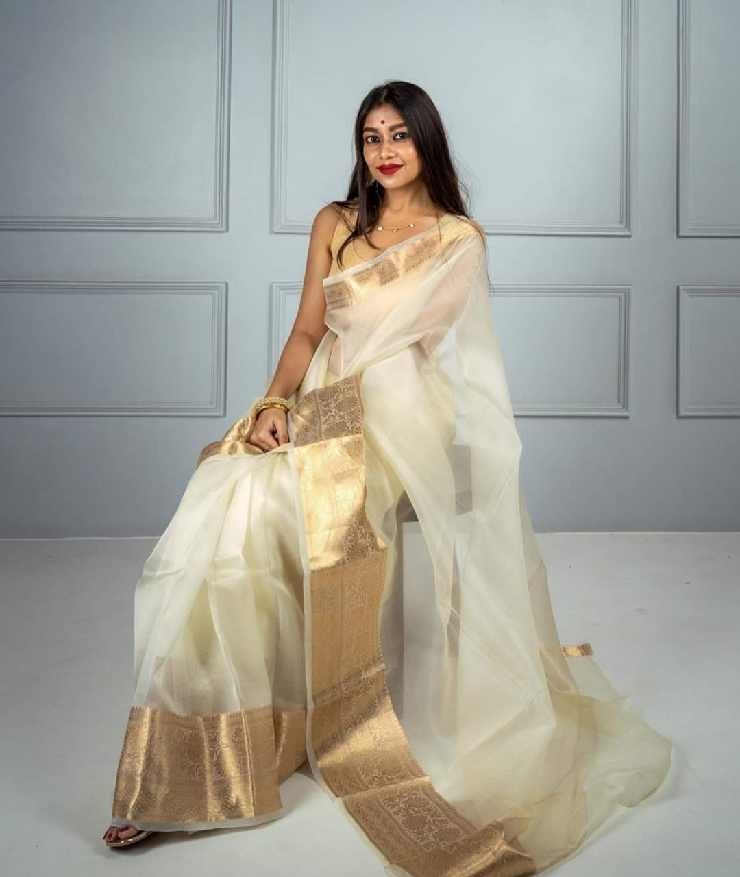 Off-White Banarasi Skirt Border Soft Organza Saree | Organza Saree