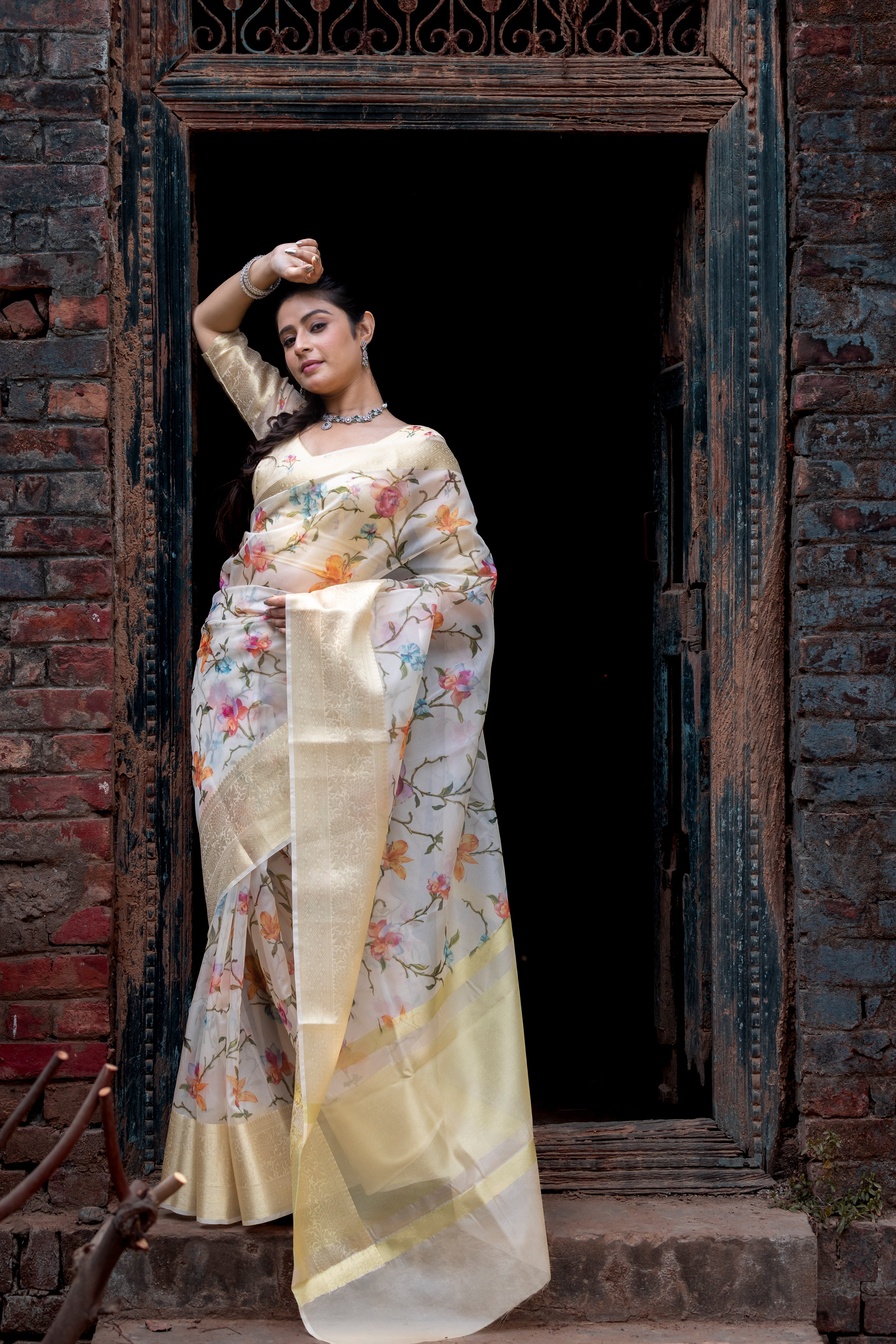 Flourishing Jaal Vibrant Organza Saree with Banarasi Zari Border | Flower Jaal Design